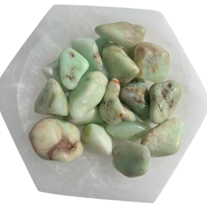Chrysoprase Healing Tumble Gemstone Polished