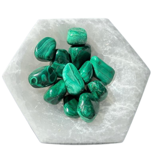Selenite charging Bowl with Green Malachite Polished Tumble healing Gemstones